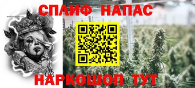 СК Нальчик